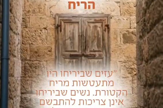 סדרת האנימציה 